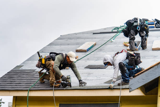 Professional Gutter Installation technician working in Ellston, IA